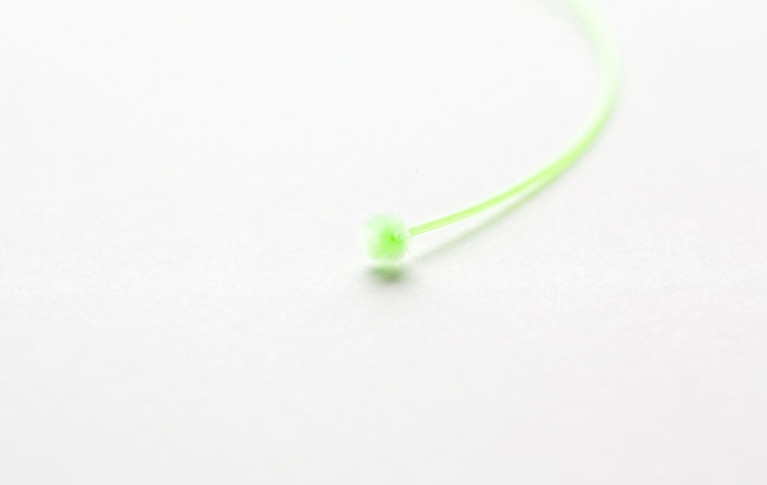 A single green fibre strand curving above a white surface