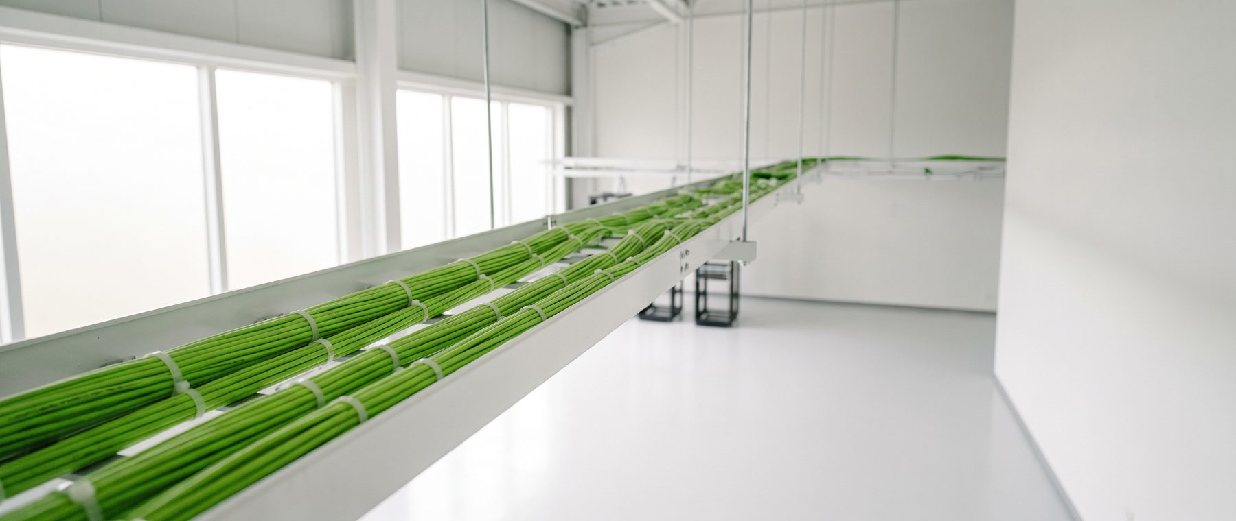 A long cable containment run crossing a bright technical hall