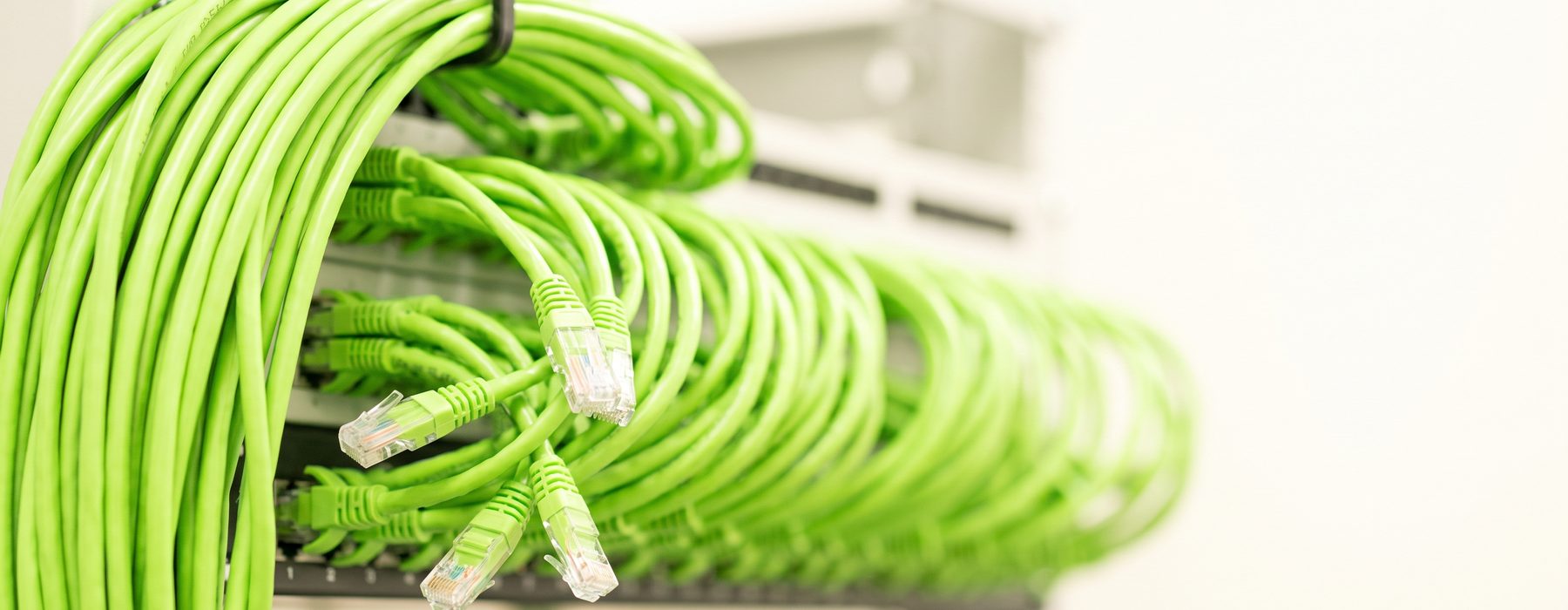 Bundles of green patch cords dressed into a network cabinet